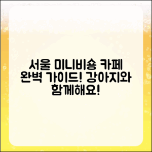 서울 최고의 미니비숑 애견카페 완벽 가이드