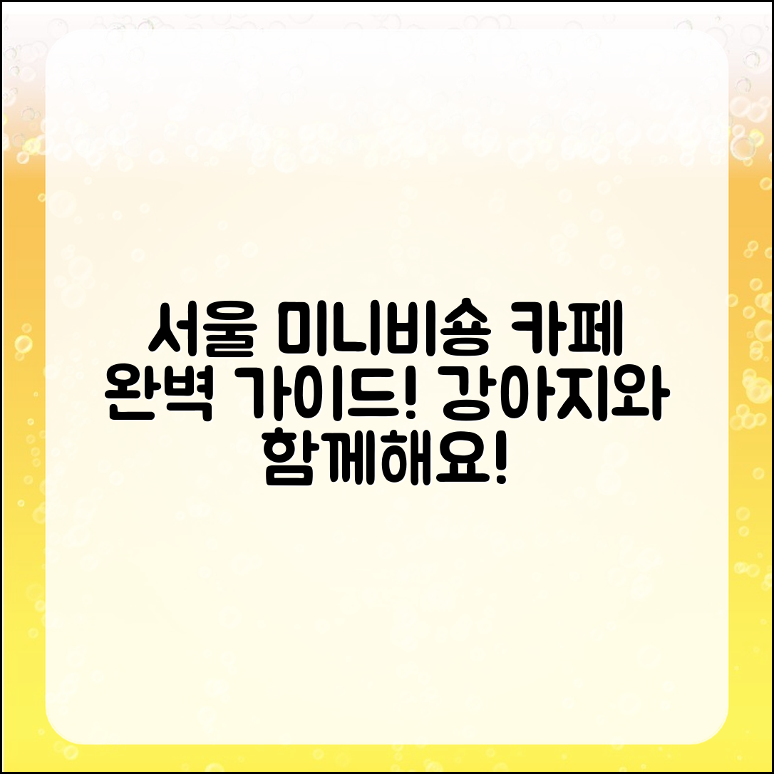 서울 최고의 미니비숑 애견카페 완벽 가이드