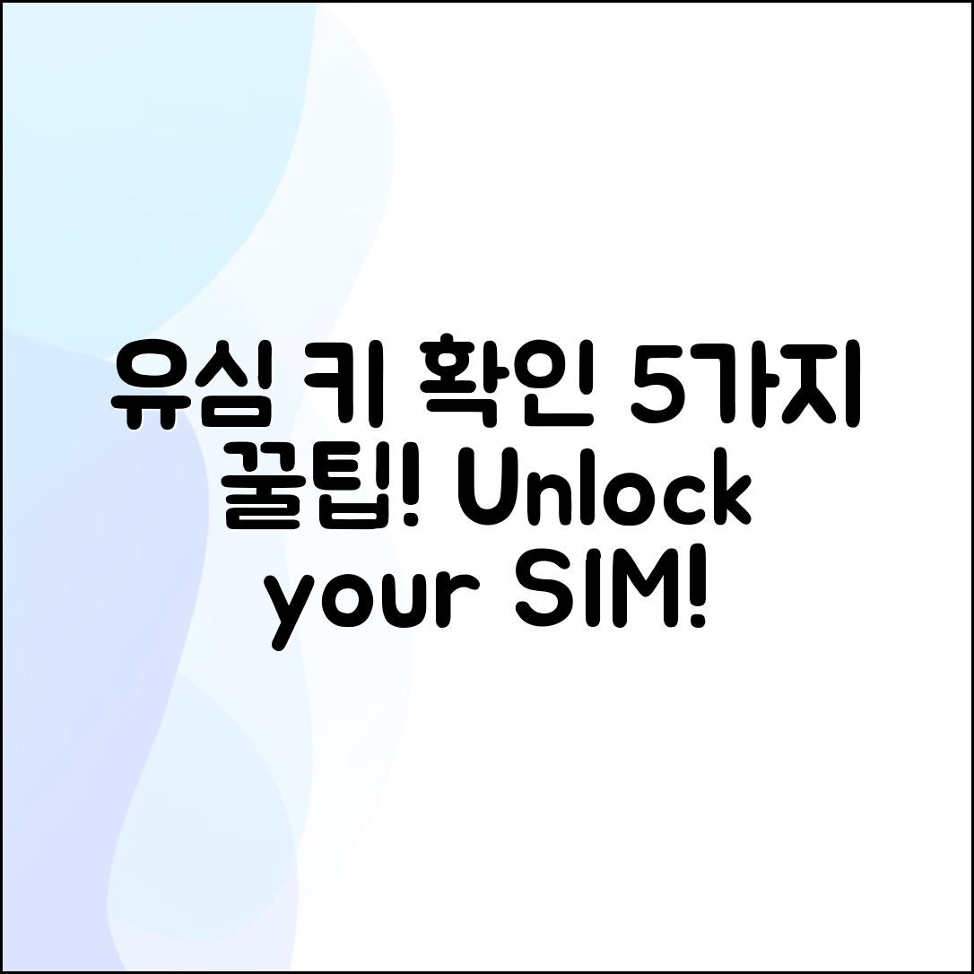 내 유심 키 확인하는 5가지 꿀팁