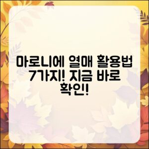 마로니에 열매 활용법 7가지 총정리