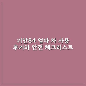 기안84 엄마 차 사용 후기와 안전 체크리스트