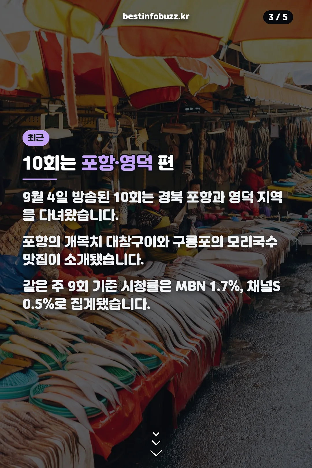 10회 포항·영덕 편