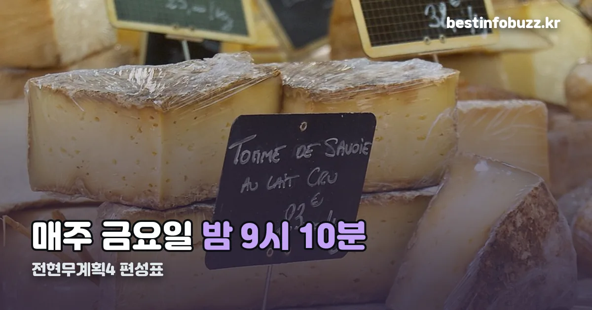 전현무계획4 편성표 정리 썸네일