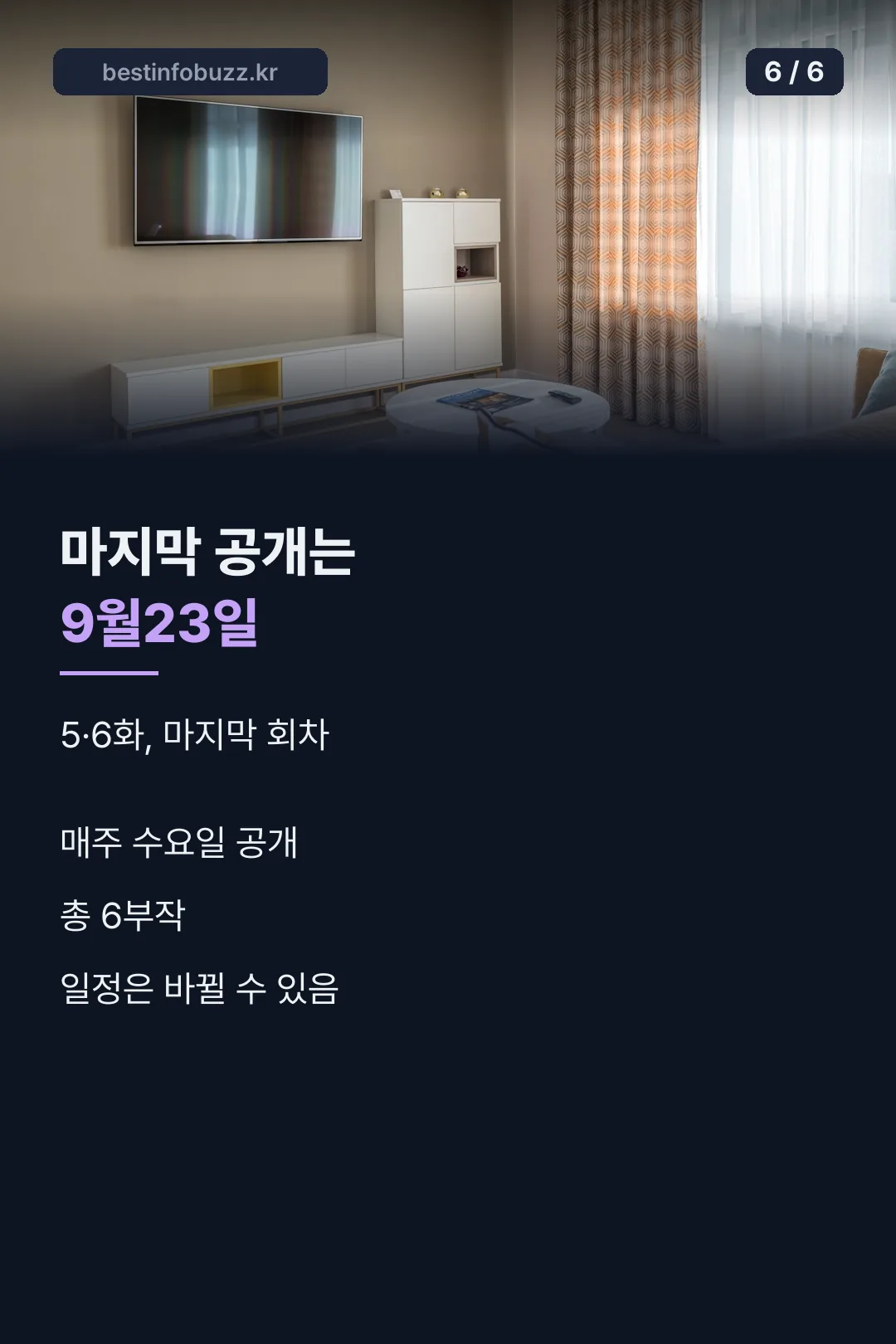 다음 공개일 안내
