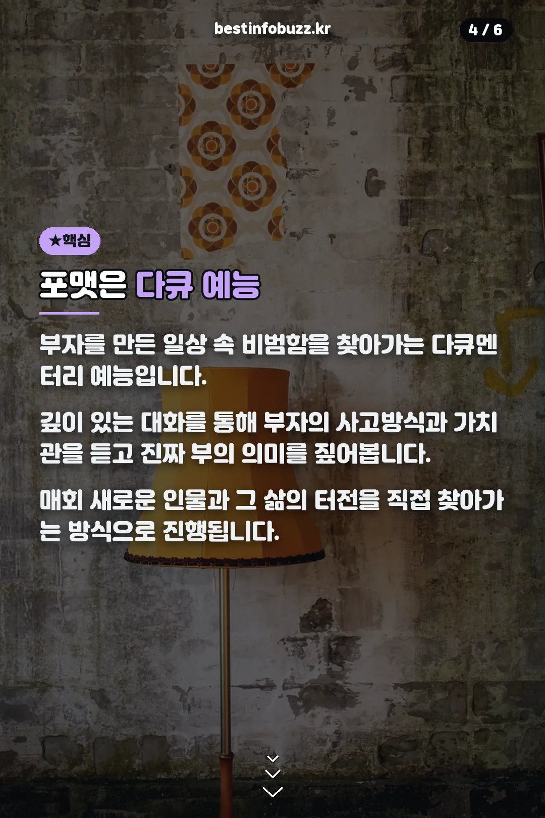 포맷 다큐 예능 소개