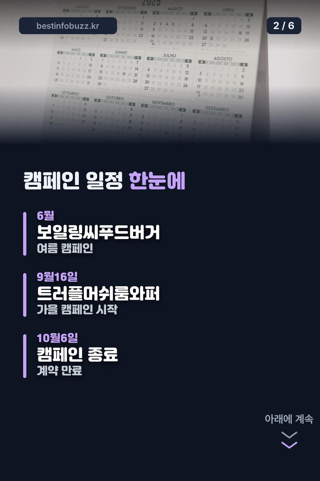 캠페인 일정