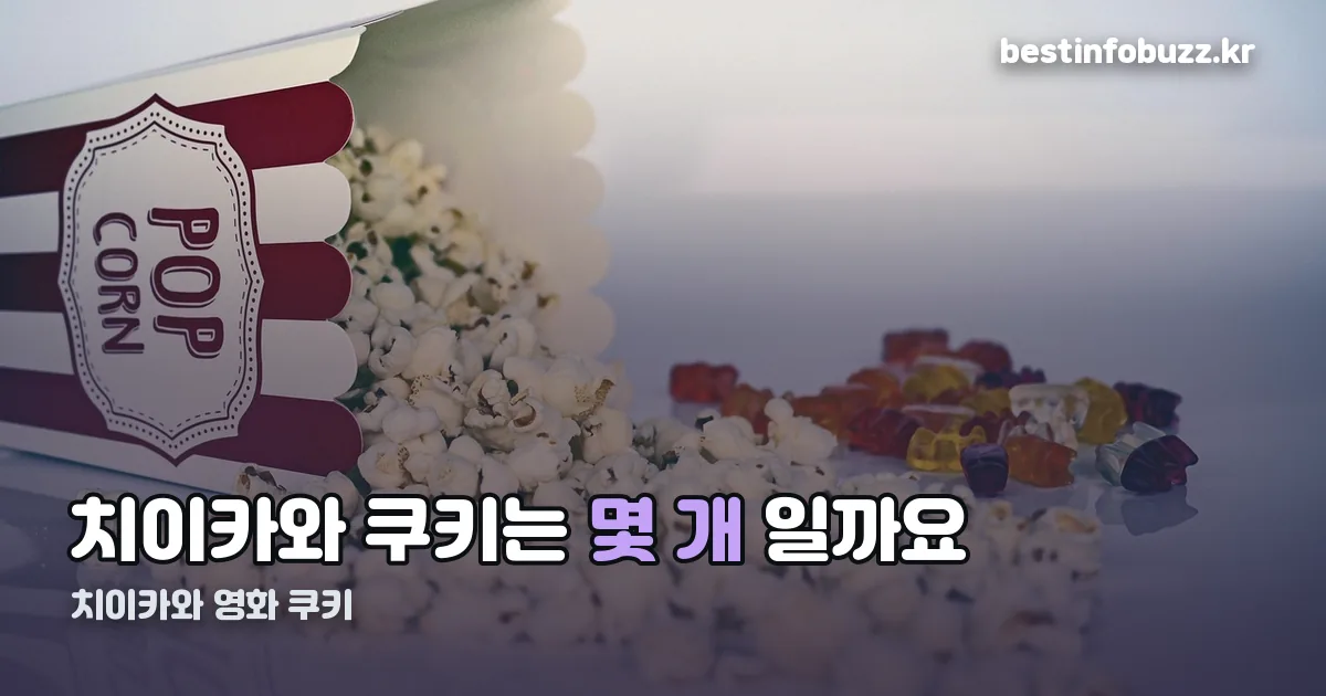 치이카와 영화 쿠키 정리 썸네일